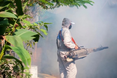 El Ministerio de Salud Pública confirmó que hay circulación viral de dengue en la provincia de San Juan