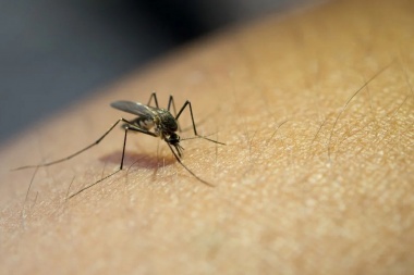 OFICIAL: Confirmaron el primer fallecimiento por Dengue en San Juan, se trata de una mujer de 39 Años